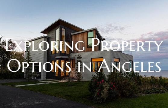 Exploring Property Options in Angeles