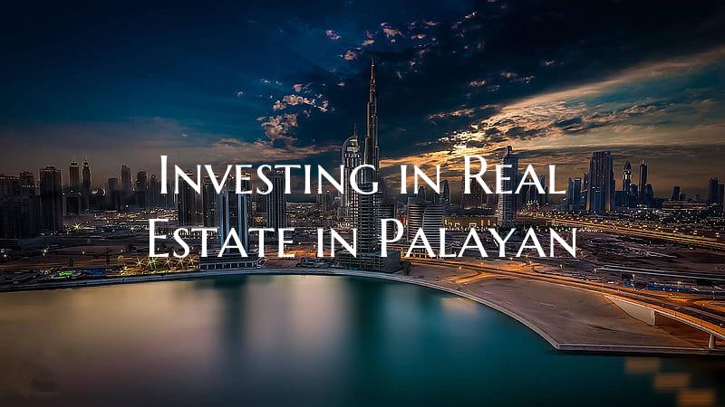 Investing in Real Estate in Palayan